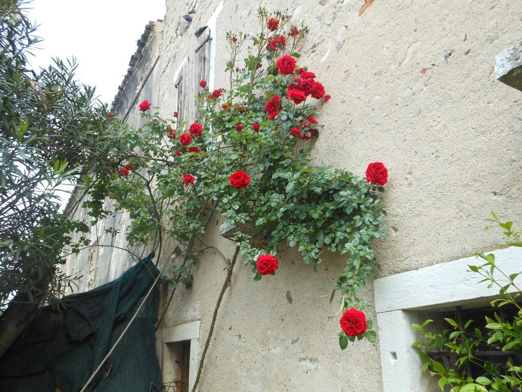 Albergo Mio ลาซีเซ ห้อง รูปภาพ